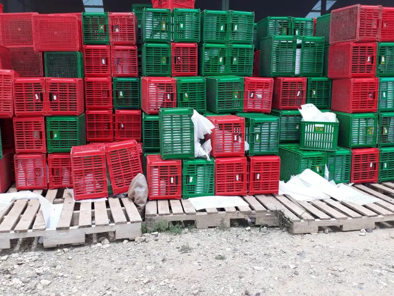 包装设计与品牌VI的协同策略：如何通过视觉一致性提升产品货架识别度