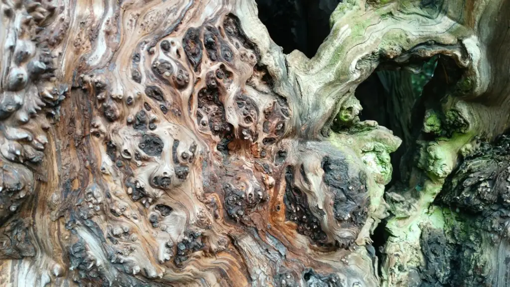 广告包装设计中的材质与工艺选择对品牌效果的影响